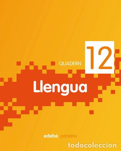 Livres: Quadern Llengua 12- 9788468304618