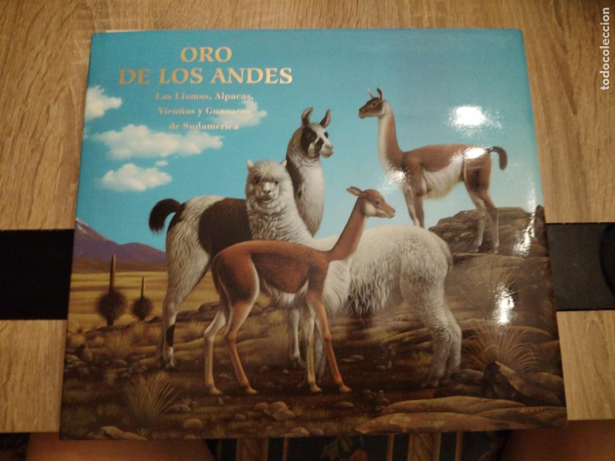 Livros em segunda m&atilde;o: ORO DE LOS ANDES -las llamas, alpacas, vicu&ntilde;as y guanacos de Sudam&eacute;rica- el tesoro de los Andes