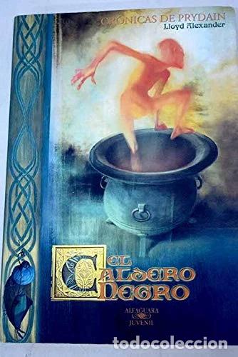 Livros em segunda m&atilde;o: El caldero negro- 9788420466286