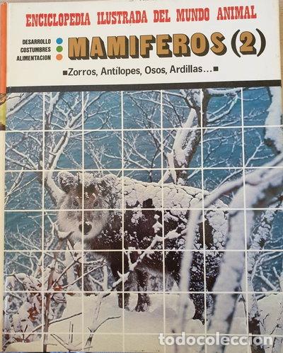 Libros: Mam&iacute;feros (2): Zorros, Ant&iacute;lopes, Osos, Ardillas- 9788471891570