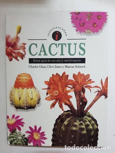 Libros: Cactus- 9788489675094