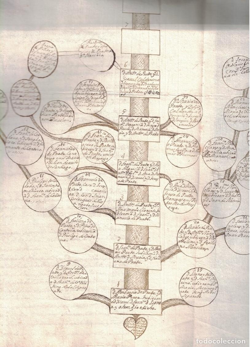 Livres: DOCUMENTOS O PAPELES REFERENTES A LA FAMILIA, &Aacute;RBOLES GENEAL&Oacute;GICOS, EJECUTORIA, Y NOTICIAS DE LOS A