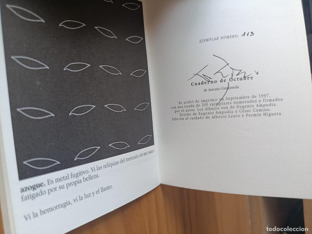 Libros: Cuaderno de octubre. - ANTONIO GAMONEDA - Foto 2