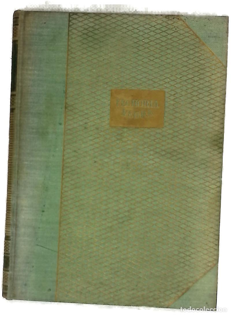 Livres: Fechor&iacute;a negra - Waugh, Evelyn; Naveira, Rosa S. de