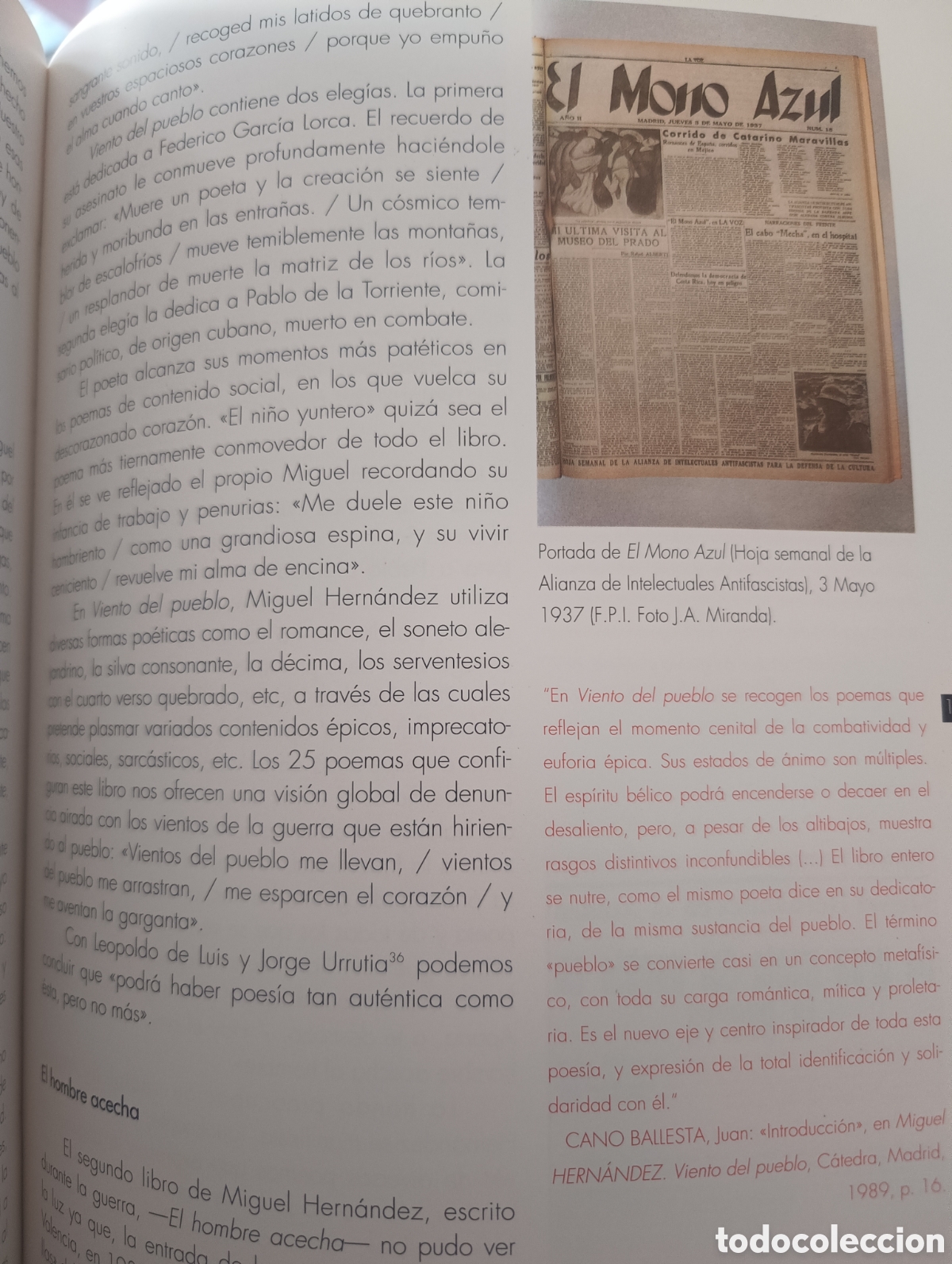 Libros: Miguel Hern&aacute;ndez Poeta - Foto 2