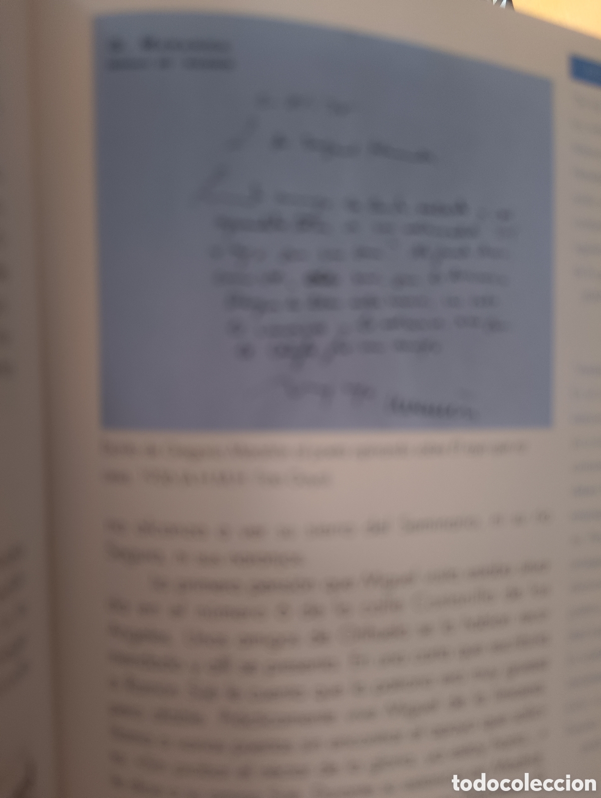 Libros: Miguel Hern&aacute;ndez Poeta - Foto 5