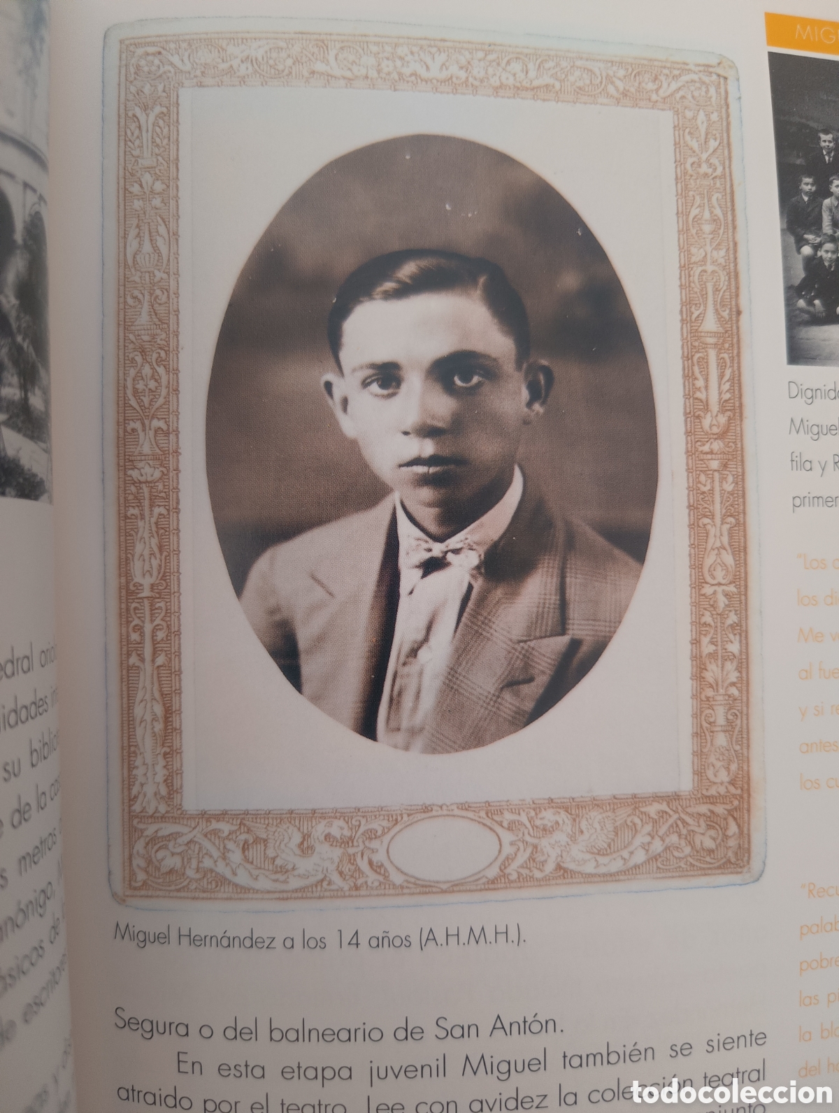 Libros: Miguel Hern&aacute;ndez Poeta - Foto 8