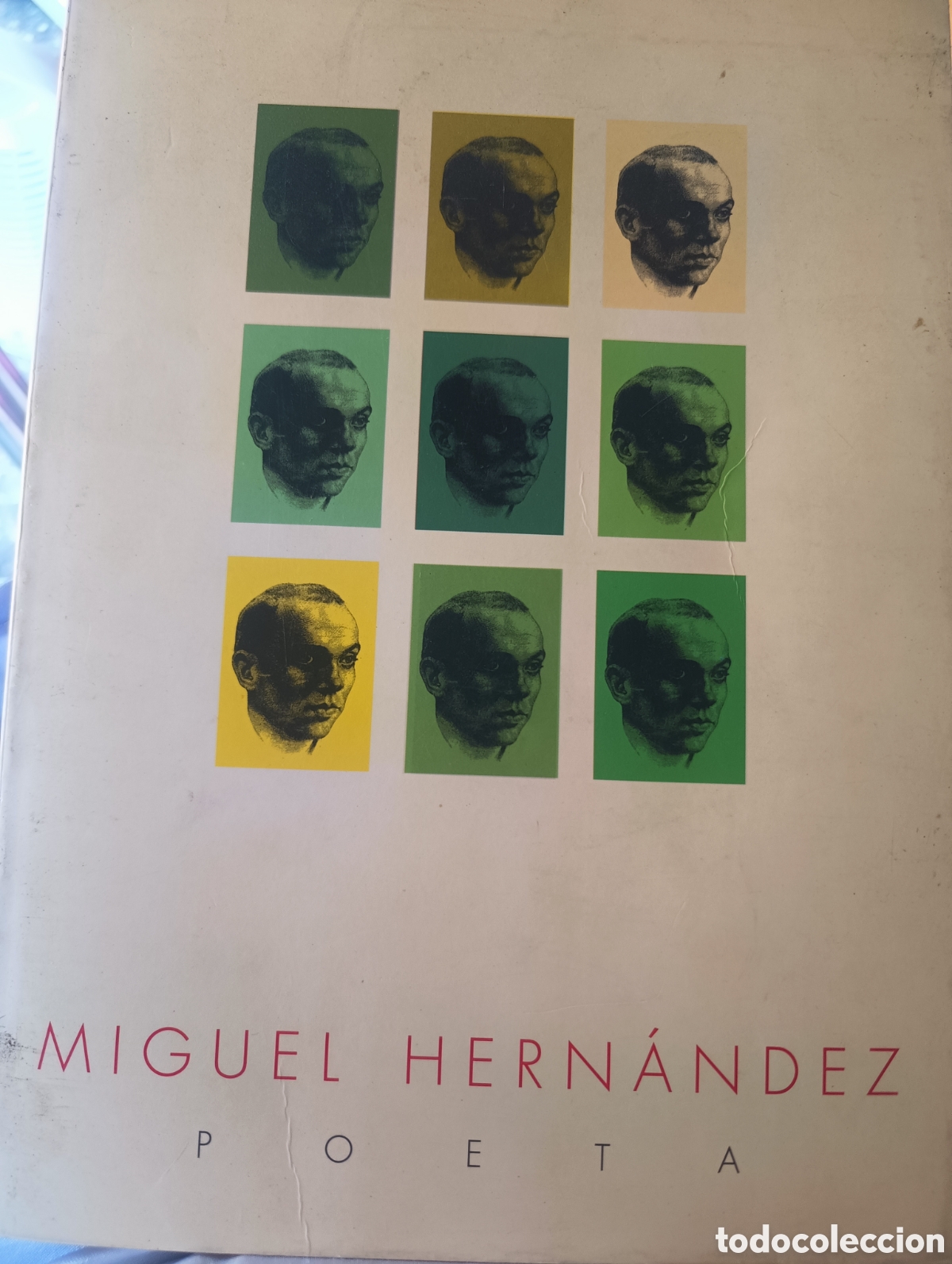 Libros: Miguel Hern&aacute;ndez Poeta - Foto 1