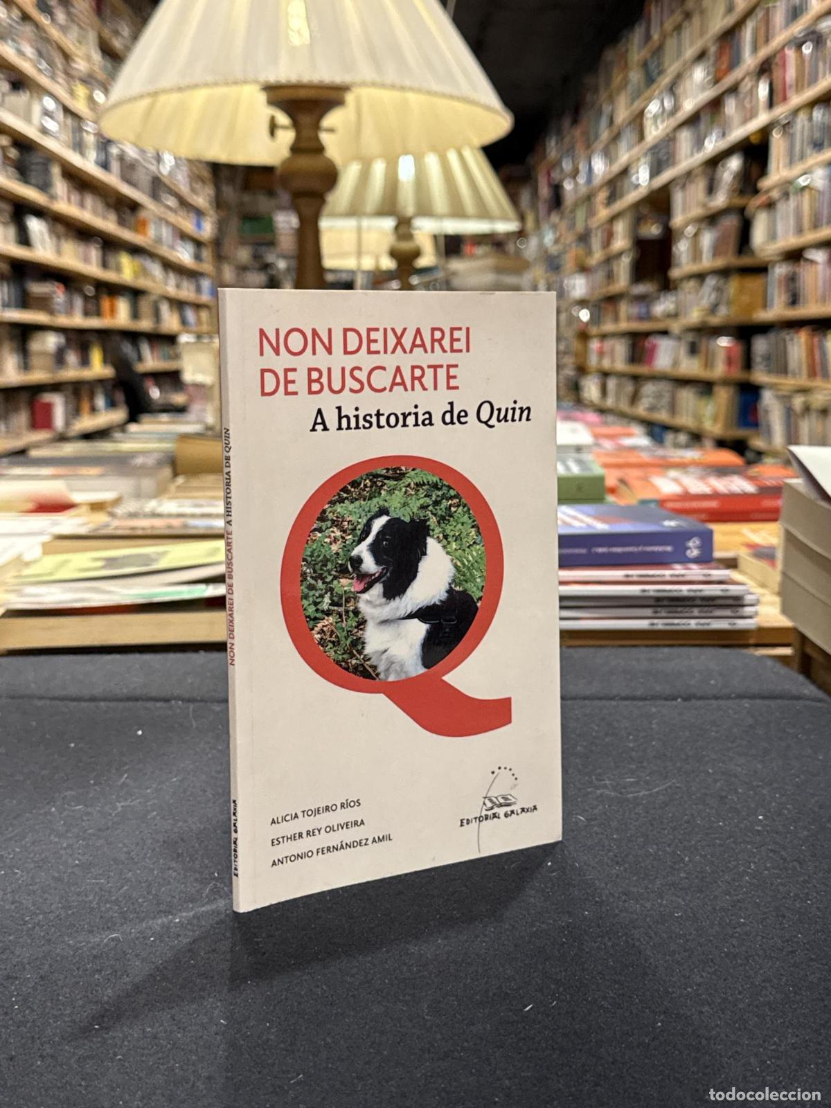 Libros: Non deixarei de buscarte. A historia de Quin - Alicia Tojeiro Rios; Esther Rey Oliveira; Antonio Fer
