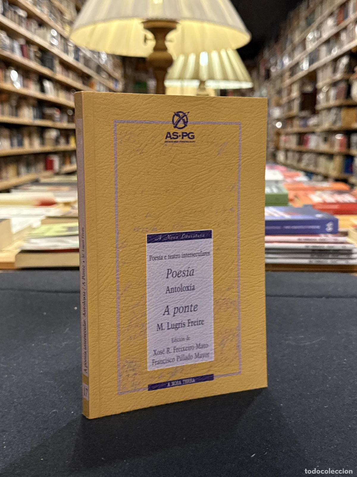 A ponte - Manuel Lugr&iacute;s Freire