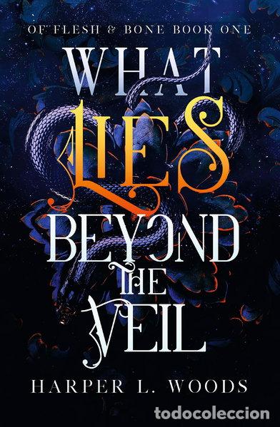 books: What Lies Beyond the Veil- 9781399711685