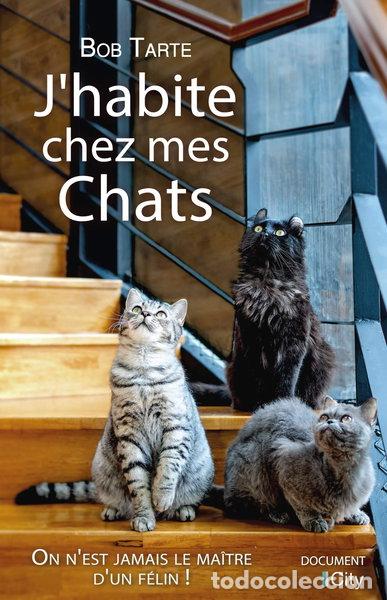 Libros: J'habite chez mes chats- 9782824613857