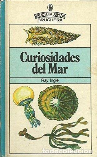 Libros: Curiosidades del mar- 9788402004468