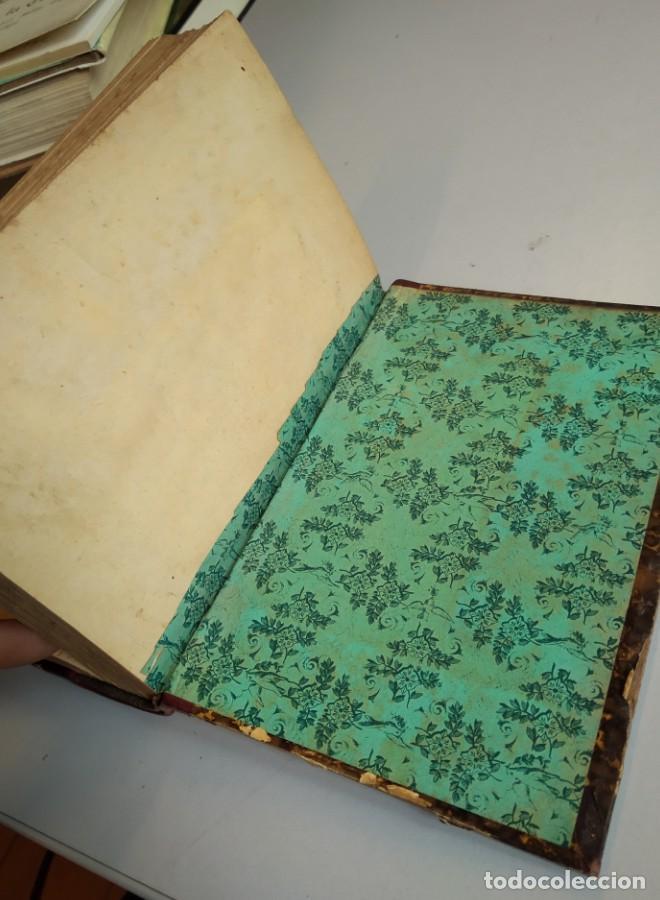 Libros: LOURDES - Emilio Zola - Foto 12