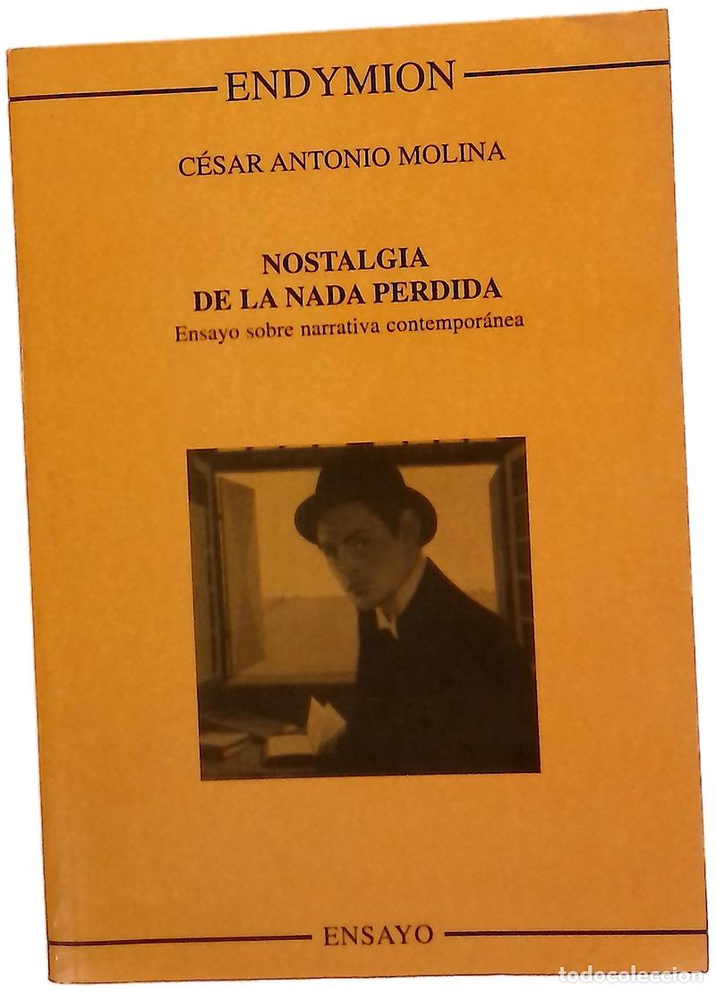 Libros: Nostalgia de la nada perdida ensayo sobre narrativa contempor&aacute;nea
