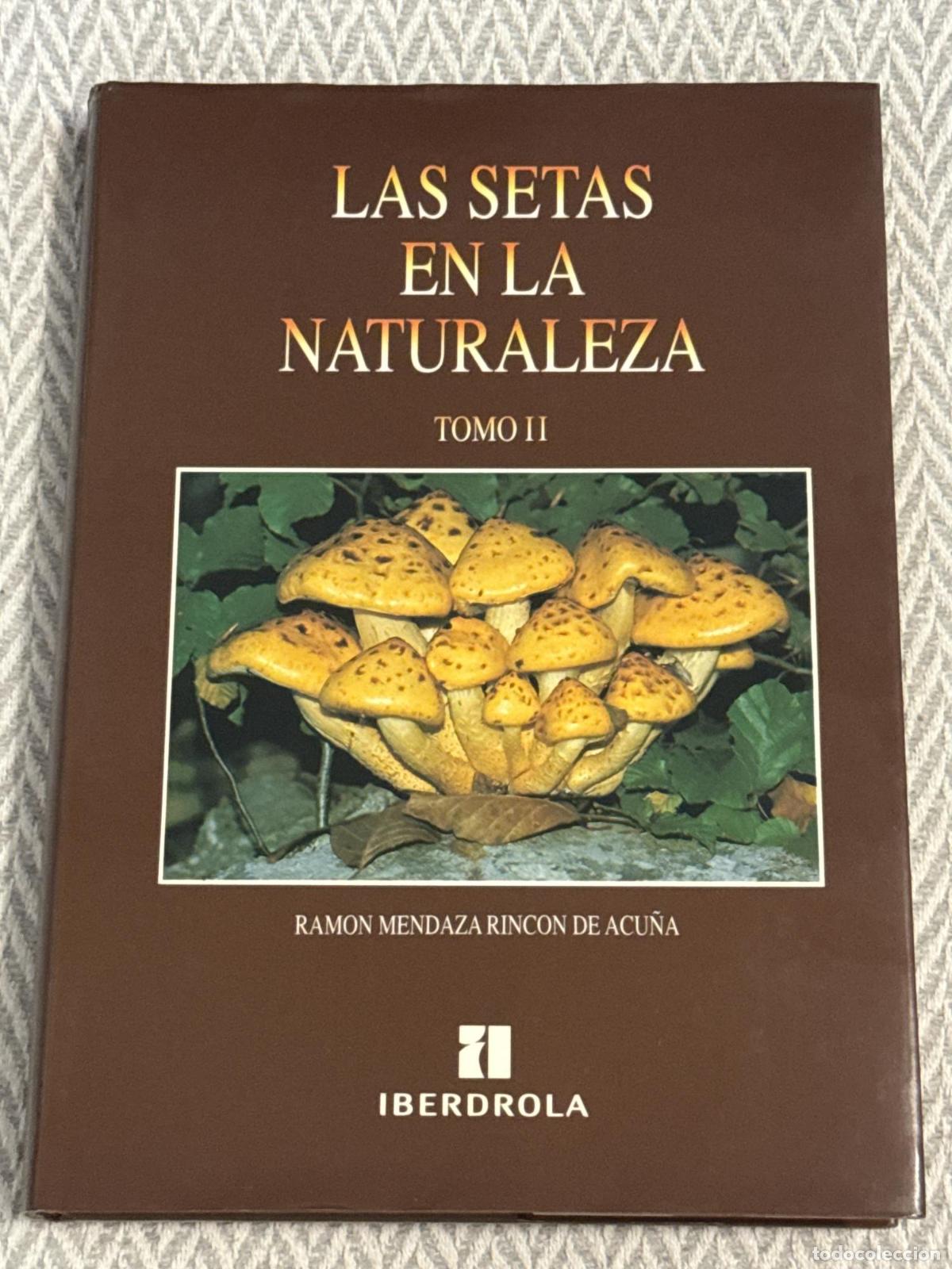 Libros: Las setas en la naturaleza. Tomo II - Ram&oacute;n Mendaza Rinc&oacute;n de Acu&ntilde;a