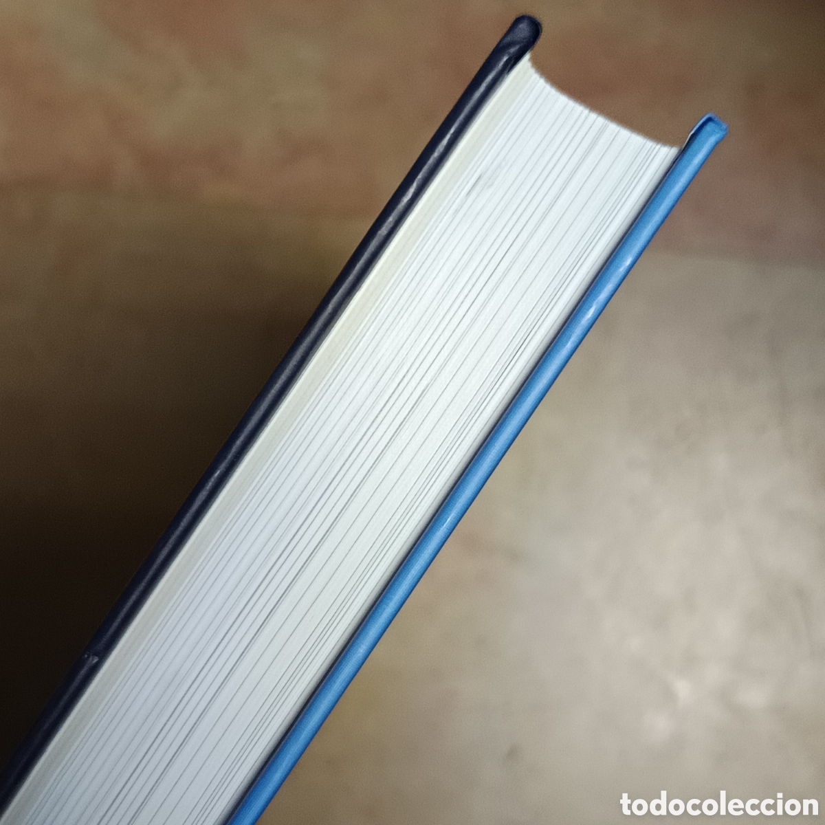 Libros: Limpias La memoria del agua - Foto 2