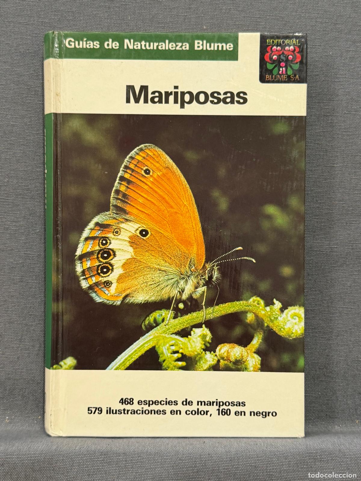 Libros: MARIPOSAS. - REICHHOLF-RIEHM, HELGARD. - Foto 1