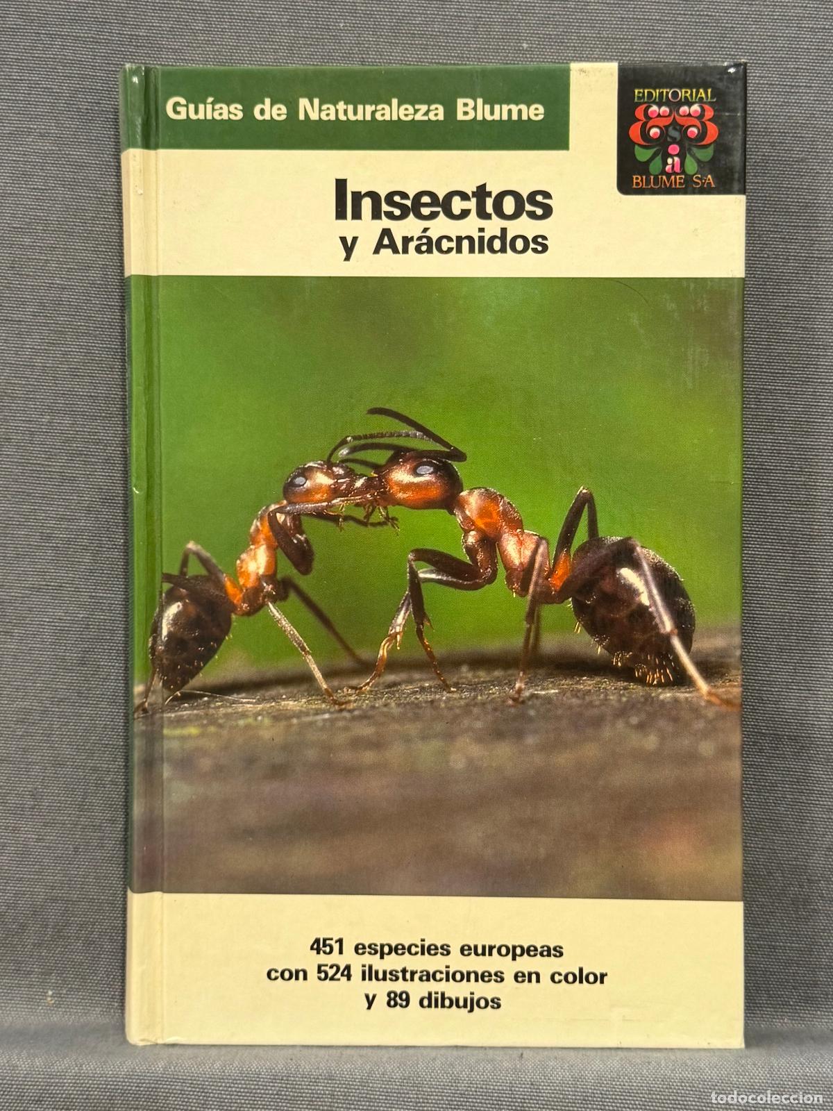 Libros: INSECTOS Y AR&Aacute;CNIDOS. - REICHHOLF-RIEHM, HELGARD. - Foto 1