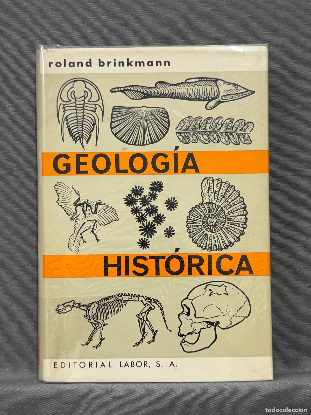 Libros: BRINKMANN, ROLAND. - Foto 1