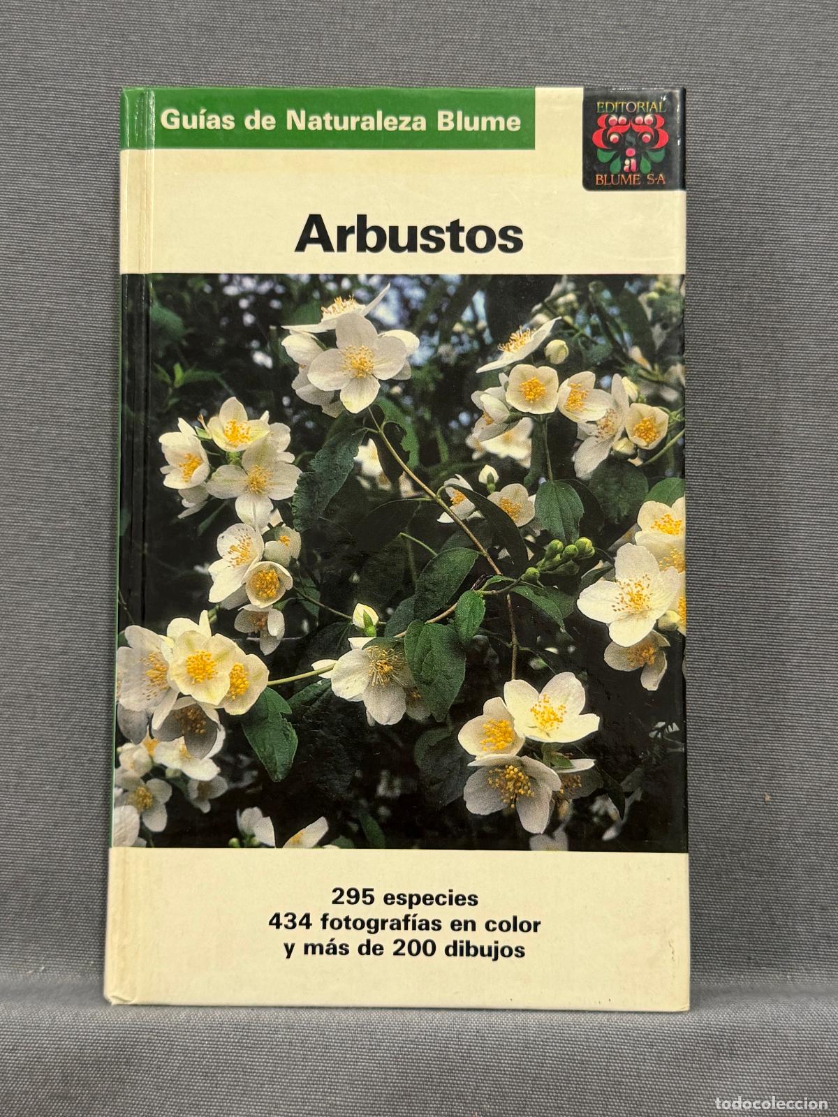 Libri di seconda mano: ARBUSTOS. (Strauchgeh&ouml;lze). - BOLLINGER; ERBEN; GRAU; HEUBL.