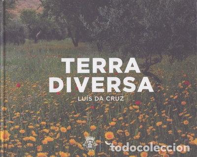 Libri di seconda mano: Terra diversa- 9789729064876