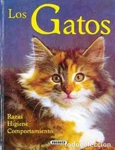 Libri di seconda mano: Los gatos- 9788430538539