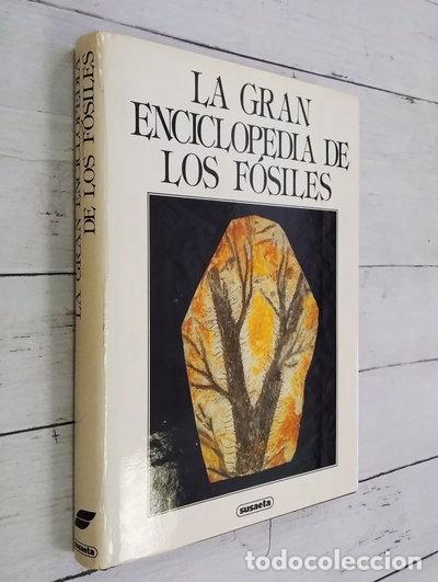 B&uuml;cher: La Gran Enciclopedia de los F&oacute;siles- 9788430516636