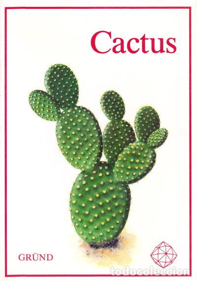 Libros: Cactus- 9782700018301
