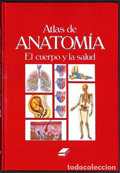 books: Atlas de Anatom&iacute;a- 9788486732752