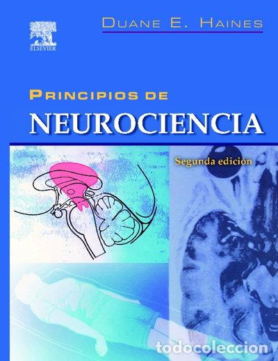 Livros em segunda m&atilde;o: Principios de neurociencia- 9788481746563
