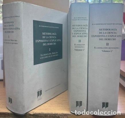 Libros: METODOLOGIA DE LA CIENCIA EXPOSITIVA Y EXPLICATIVA DEL DERECHO. I: LA CIENCIA DEL DERECHO A LO ... -