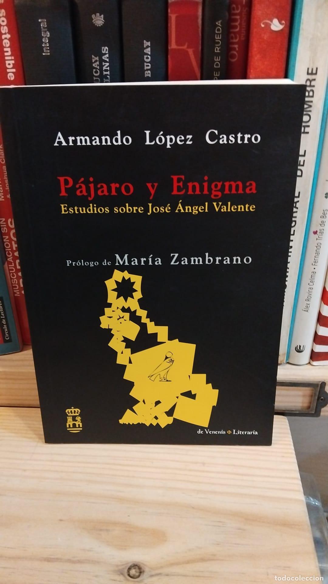 Libros: P&aacute;jaro y enigma. Estudios sobre Jos&eacute; &Aacute;ngel Valente -