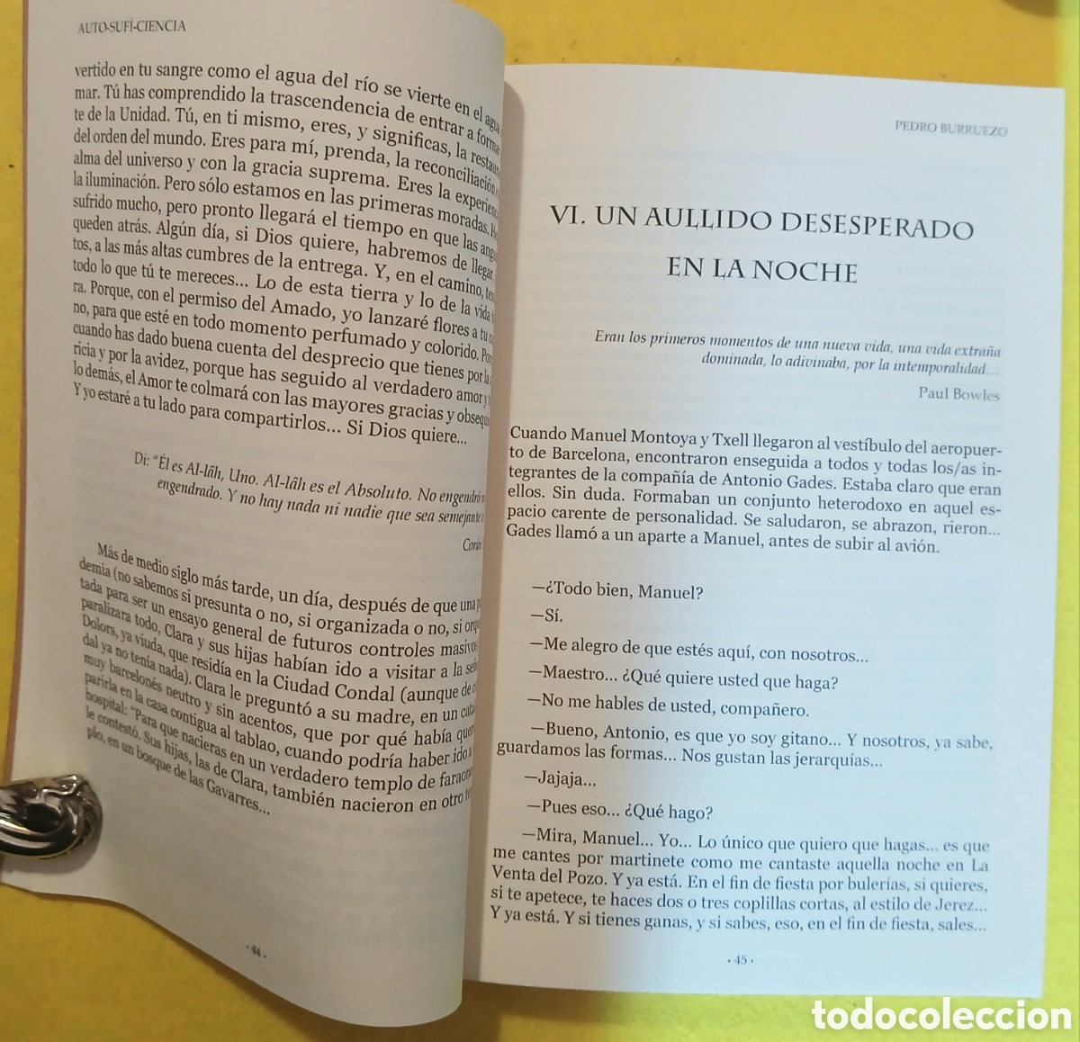 Libros: Auto-sufi-ciencia , Pedro Burruezo - Foto 5