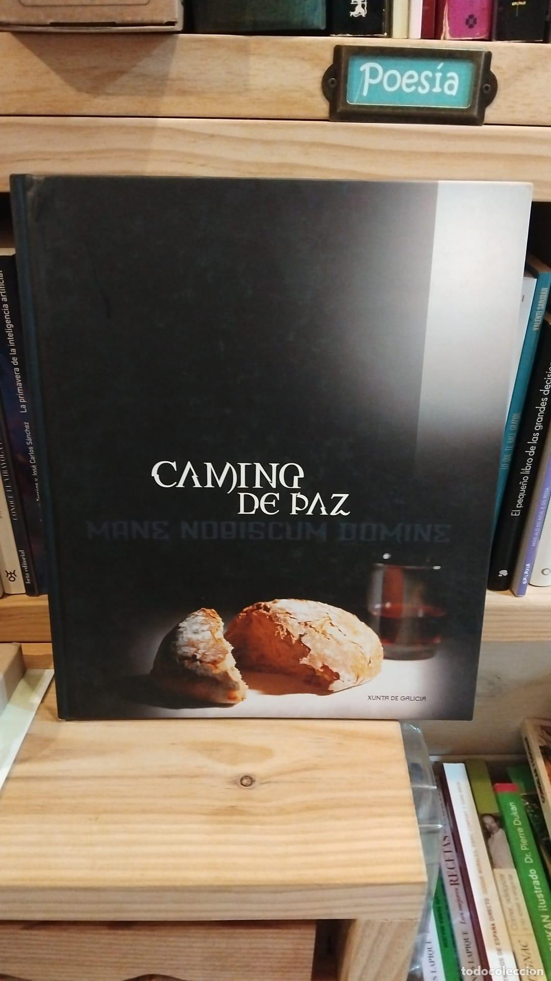 Libros: Camino de paz. Mane Nobiscum Domine - VVAA