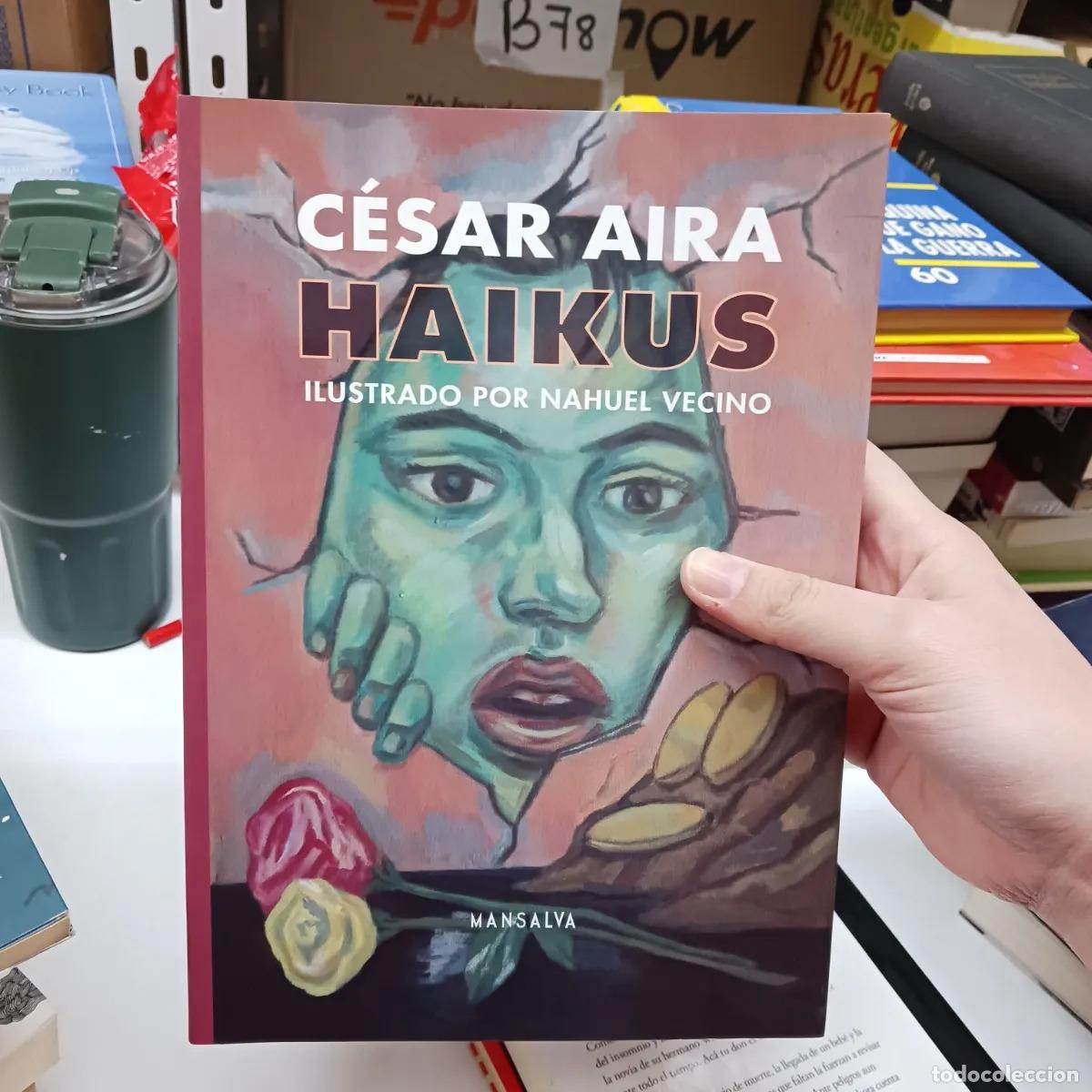 B&uuml;cher: Haikus - Cesar Aira