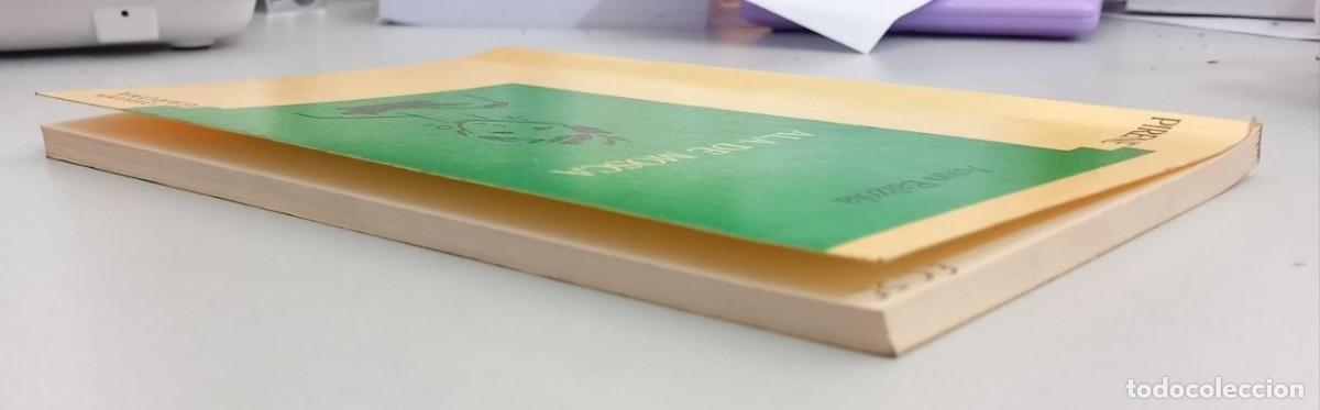 Libros: Ala de mosca - BALZOLA, Asun - Foto 5