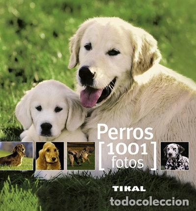 Libros: Perros- 9788499280851