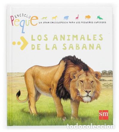 Livres: Los animales de la sabana- 9788467504545