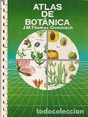 books: Atlas de bot&aacute;nica- 9788470931444