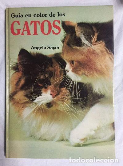 books: Gu&iacute;a en color de los gatos- 9788434303249