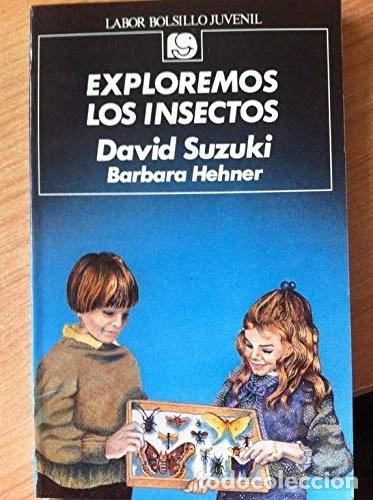 Libros: Exploremos los insectos- 9788433584946