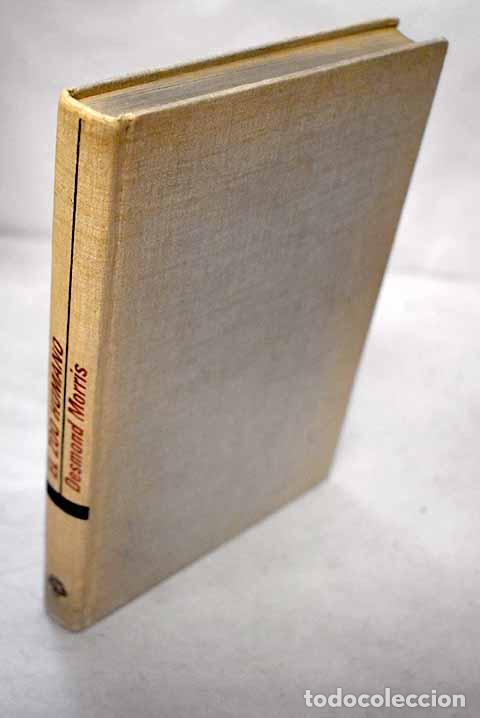 books: El zoo humano: Morris, Desmond.- Morris, Desmond