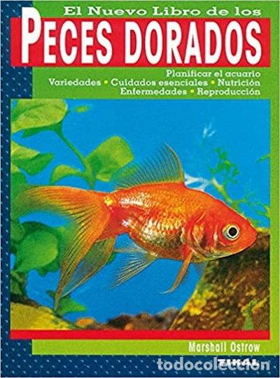 Libros: Peces dorados- 9788430598632