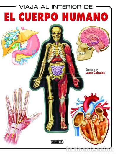 B&uuml;cher: El cuerpo humano- 9788467704839