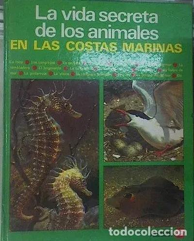 Livros em segunda m&atilde;o: La vida secreta de los animales en las costas marinas- 9788424321895