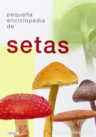 B&uuml;cher: Peque&ntilde;a enciclopedia de setas- 9788479716554