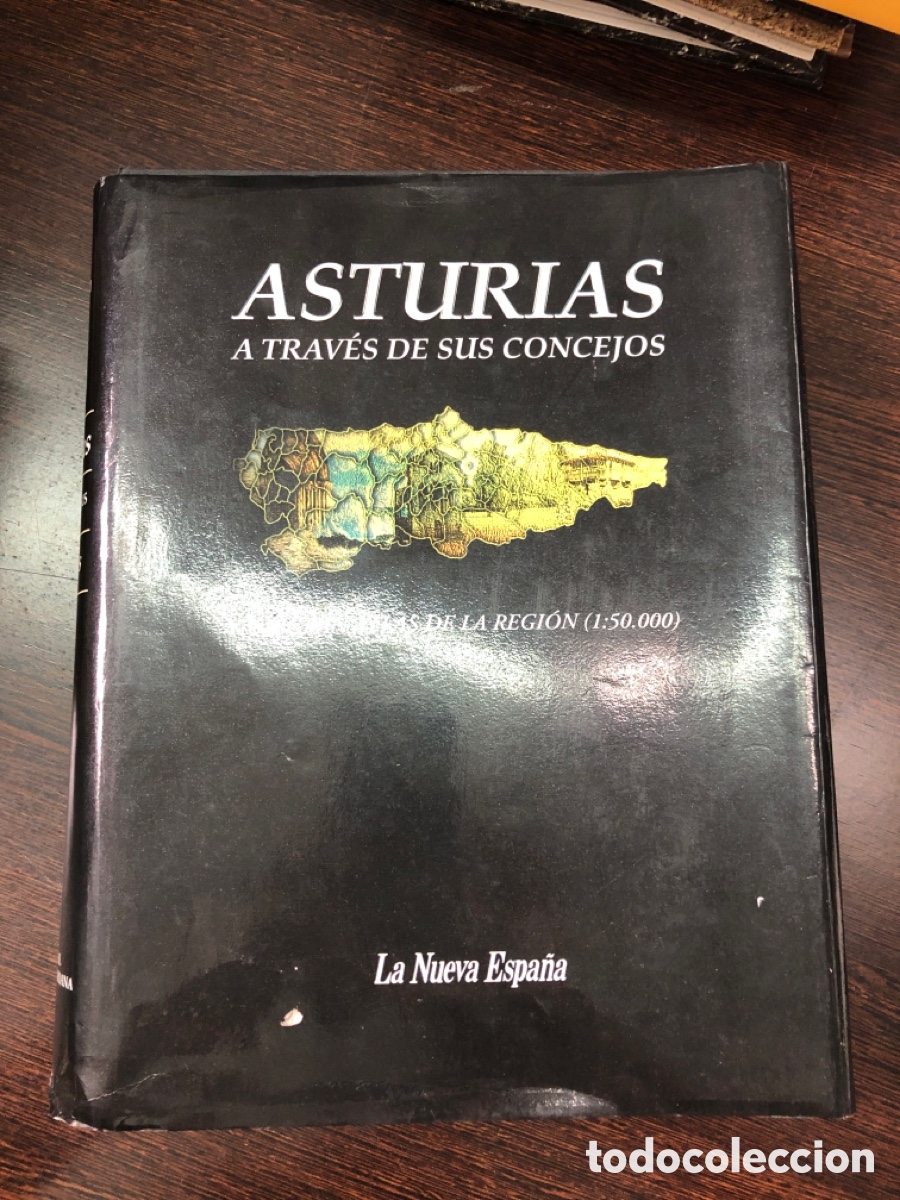 B&uuml;cher: ASTURIAS A TRAVES DE SUS CONCEJOS LA NUEVA ESPA&Ntilde;A 1998