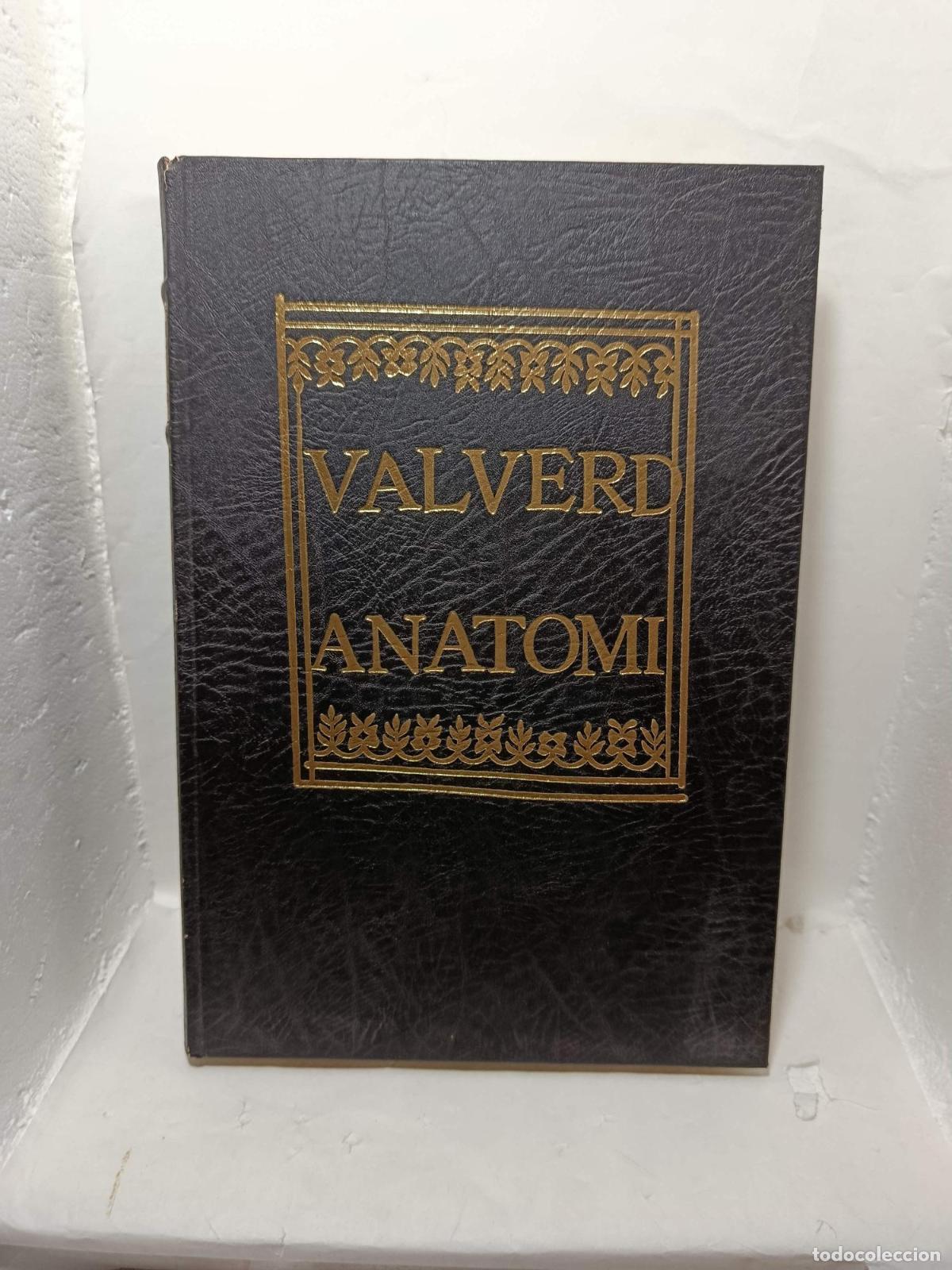 Livres: ANATOMI (Hiftoria dell' Anatomia) - Giouanni Valuerde