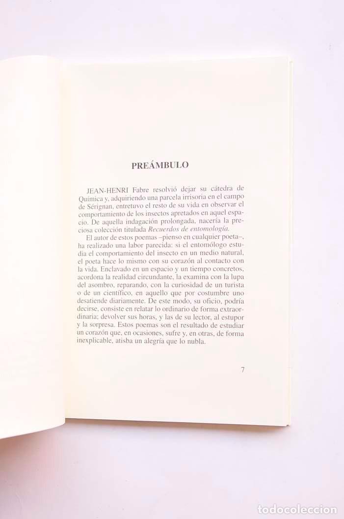 Libros: Insectario - MONTIEL Jes&uacute;s - Foto 4